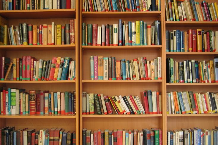 Symbolbild: Regale voller Bücher.